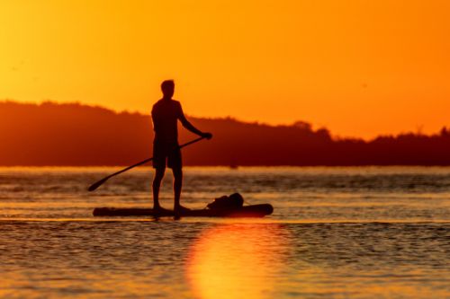 Person mit StandUp Paddleboard auf der Donau